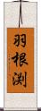 羽根渕 Scroll