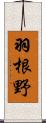 羽根野 Scroll