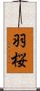 羽桜 Scroll