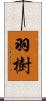 羽樹 Scroll