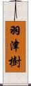 羽津樹 Scroll