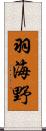 羽海野 Scroll
