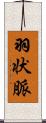羽状脈 Scroll
