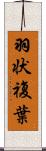 羽状複葉 Scroll