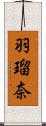 羽瑠奈 Scroll