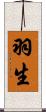 羽生 Scroll