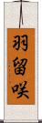 羽留咲 Scroll