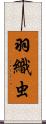 羽織虫 Scroll