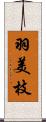 羽美枝 Scroll