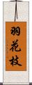 羽花枝 Scroll