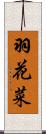 羽花菜 Scroll