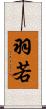 羽若 Scroll