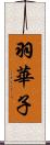 羽華子 Scroll