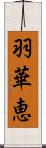 羽華恵 Scroll