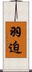 羽迫 Scroll
