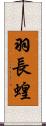 羽長蝗 Scroll