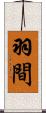 羽間 Scroll