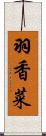 羽香菜 Scroll