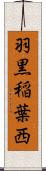 羽黒稲葉西 Scroll