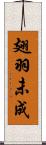 翅羽未成 Scroll