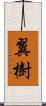 翼樹 Scroll