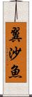 翼沙魚 Scroll