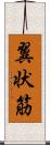 翼状筋 Scroll