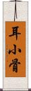 耳小骨 Scroll