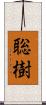 聡樹 Scroll