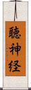 聴神経 Scroll