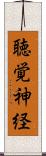 聴覚神経 Scroll
