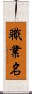職業名 Scroll