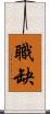 職缺 Scroll