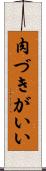 肉づきがいい Scroll