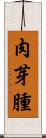 肉芽腫 Scroll