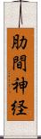 肋間神経 Scroll
