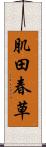 肌田春草 Scroll