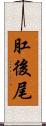 肛後尾 Scroll