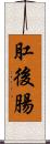 肛後腸 Scroll