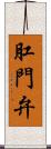肛門弁 Scroll