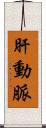 肝動脈 Scroll