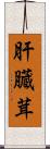 肝臓茸 Scroll