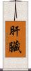 肝臟 Scroll