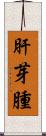 肝芽腫 Scroll