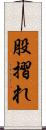 股摺れ Scroll