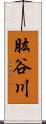 肱谷川 Scroll