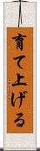 育て上げる Scroll