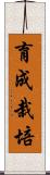 育成栽培 Scroll
