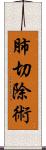 肺切除術 Scroll