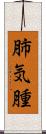 肺気腫 Scroll